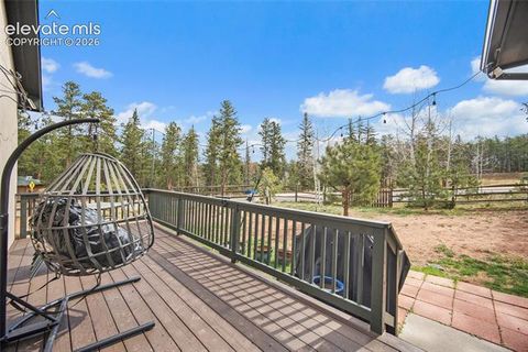 Tiny photo for 1101 Ptarmigan Drive, Woodland Park, CO 80863 (MLS # 9618402)