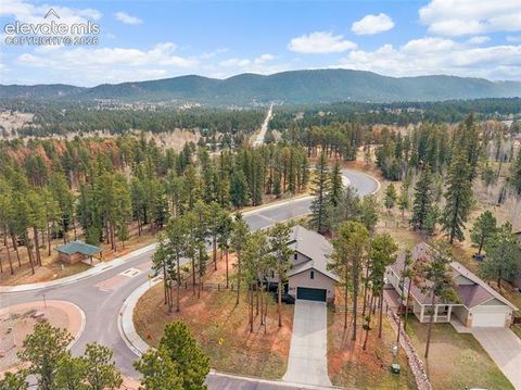 Tiny photo for 1101 Ptarmigan Drive, Woodland Park, CO 80863 (MLS # 9618402)