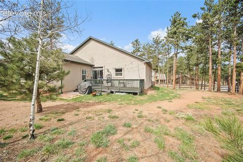 Tiny photo for 1101 Ptarmigan Drive, Woodland Park, CO 80863 (MLS # 9618402)