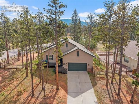 Tiny photo for 1101 Ptarmigan Drive, Woodland Park, CO 80863 (MLS # 9618402)