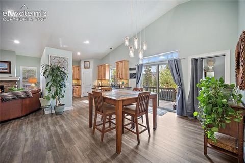 Tiny photo for 1101 Ptarmigan Drive, Woodland Park, CO 80863 (MLS # 9618402)
