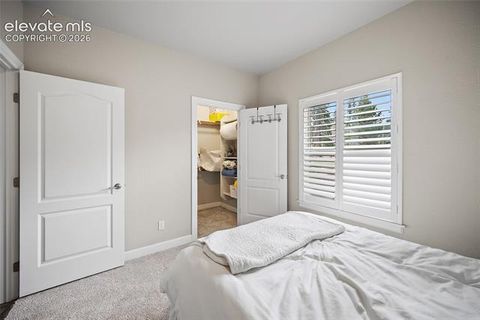 Tiny photo for 1101 Ptarmigan Drive, Woodland Park, CO 80863 (MLS # 9618402)
