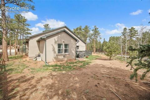 Tiny photo for 1101 Ptarmigan Drive, Woodland Park, CO 80863 (MLS # 9618402)