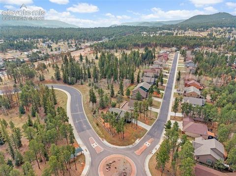 Tiny photo for 1101 Ptarmigan Drive, Woodland Park, CO 80863 (MLS # 9618402)