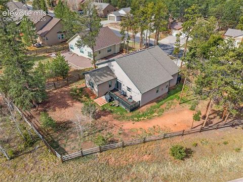 Tiny photo for 1101 Ptarmigan Drive, Woodland Park, CO 80863 (MLS # 9618402)