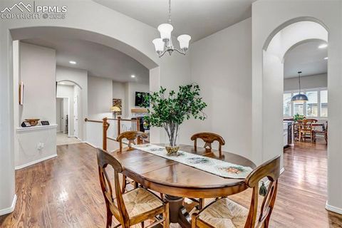 Tiny photo for 5420 Paddington Creek Place, Colorado Springs, CO 80924 (MLS # 4218318)