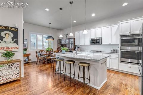 Tiny photo for 5420 Paddington Creek Place, Colorado Springs, CO 80924 (MLS # 4218318)