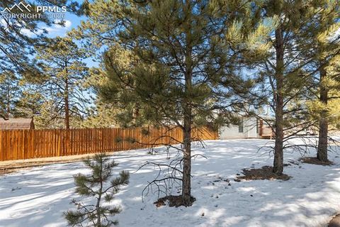 Tiny photo for 300 S Fairview Street, Woodland Park, CO 80863 (MLS # 7286648)