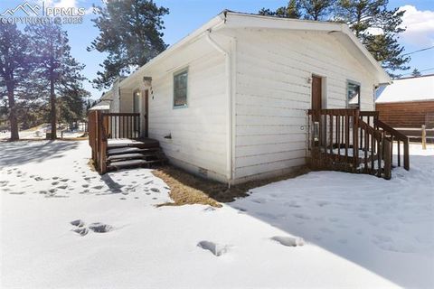 Tiny photo for 300 S Fairview Street, Woodland Park, CO 80863 (MLS # 7286648)