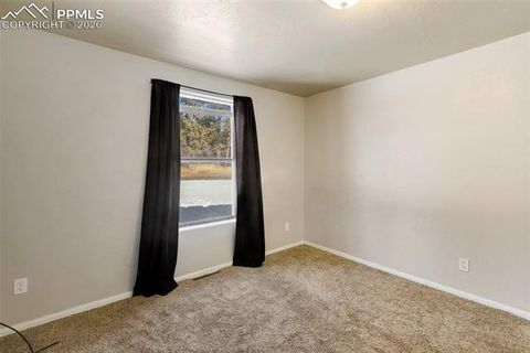 Tiny photo for 300 S Fairview Street, Woodland Park, CO 80863 (MLS # 7286648)
