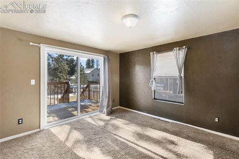 Tiny photo for 300 S Fairview Street, Woodland Park, CO 80863 (MLS # 7286648)