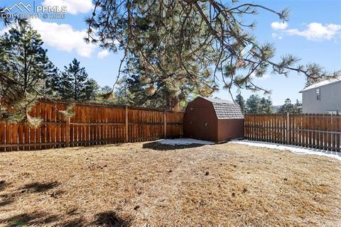 Tiny photo for 300 S Fairview Street, Woodland Park, CO 80863 (MLS # 7286648)