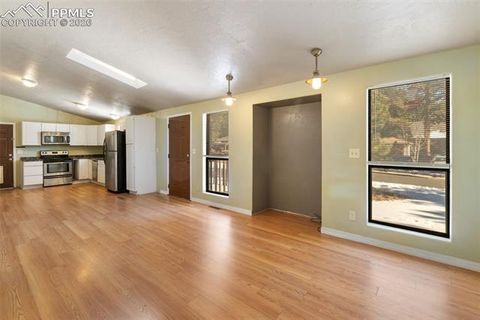 Tiny photo for 300 S Fairview Street, Woodland Park, CO 80863 (MLS # 7286648)