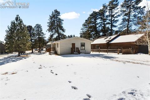 Tiny photo for 300 S Fairview Street, Woodland Park, CO 80863 (MLS # 7286648)