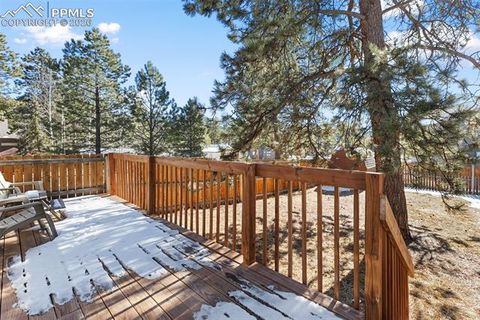 Tiny photo for 300 S Fairview Street, Woodland Park, CO 80863 (MLS # 7286648)