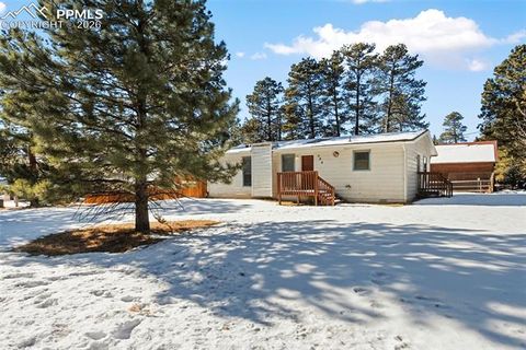Photo of 300 S Fairview Street, Woodland Park, CO 80863 (MLS # 7286648)