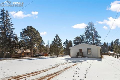 Tiny photo for 300 S Fairview Street, Woodland Park, CO 80863 (MLS # 7286648)
