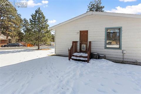 Tiny photo for 300 S Fairview Street, Woodland Park, CO 80863 (MLS # 7286648)