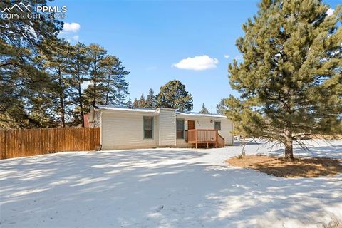 Tiny photo for 300 S Fairview Street, Woodland Park, CO 80863 (MLS # 7286648)