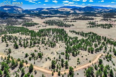 Photo of 422 Buck Drive, Guffey, CO 80820 (MLS # 7326985)