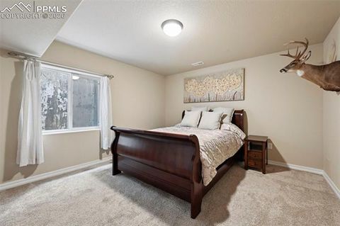 Tiny photo for 8742 Windy Plains Court, Colorado Springs, CO 80927 (MLS # 6727469)