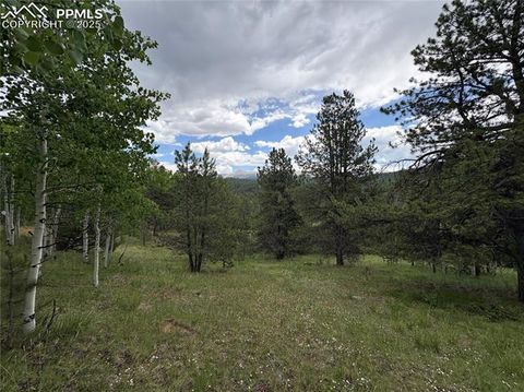 Photo of 532 May Queen Drive, Cripple Creek, CO 80813 (MLS # 8975826)