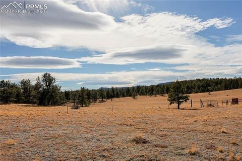 Photo of 000 Twinkle Road, Guffey, CO 80820 (MLS # 7338040)