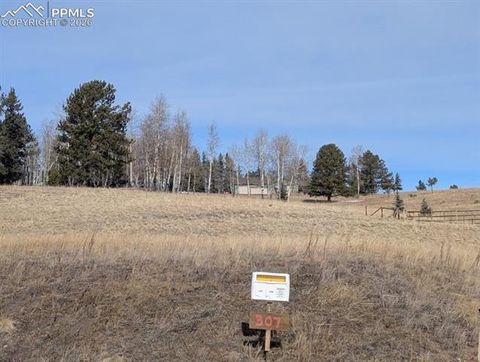 Photo of 307 Pinaceae Heights, Divide, CO 80814 (MLS # 4108347)
