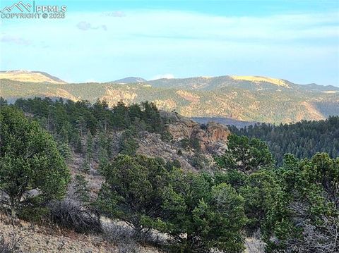 Photo of 204 Pine Road, Florissant, CO 80816 (MLS # 8317405)