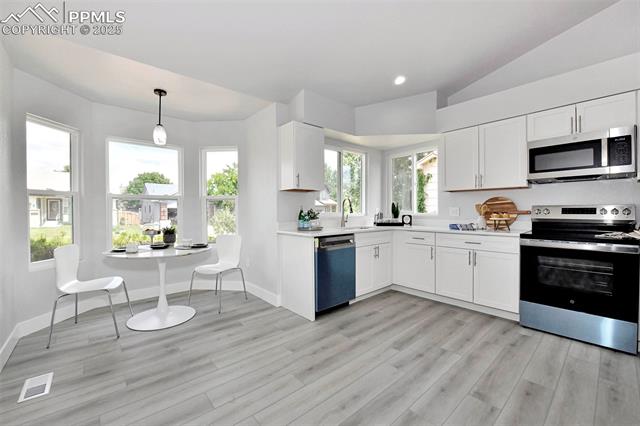 1435 Brush Oak Drive