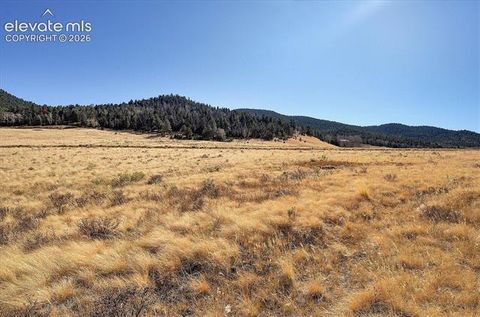 Tiny photo for 1115 Eagles Gate Road, Westcliffe, CO 81252 (MLS # 1134283)