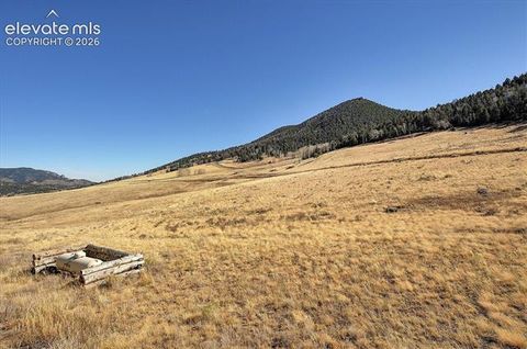 Tiny photo for 1115 Eagles Gate Road, Westcliffe, CO 81252 (MLS # 1134283)