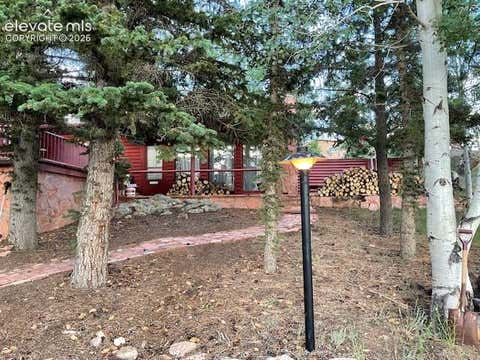 Photo of 30 Brook Drive, Lake George, CO 80827 (MLS # 2977340)