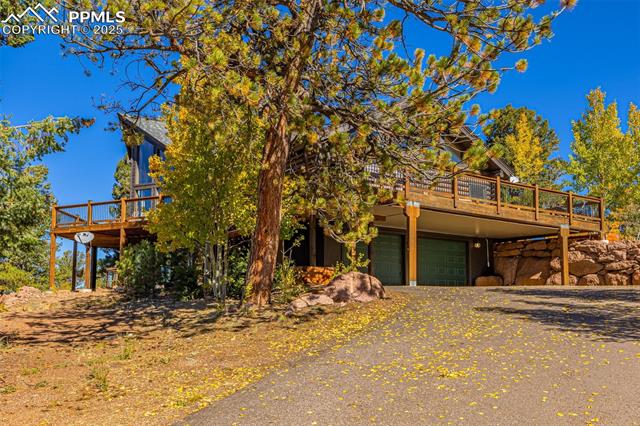 619 Golden Cycle Circle