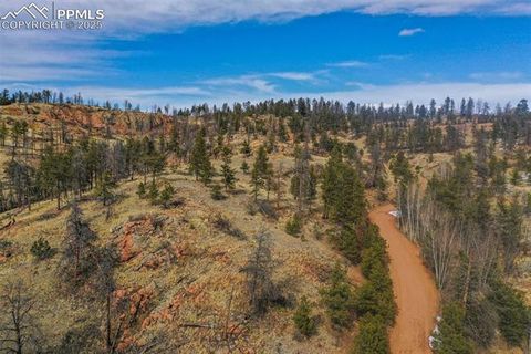 Photo of 397 Chateau West Drive, Florissant, CO 80816 (MLS # 3930398)