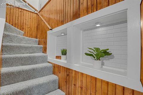 Tiny photo for 4540 Fountain Avenue, Cascade, CO 80809 (MLS # 7080378)