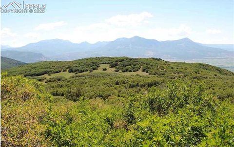 18965 Johnson Road Paonia CO 81428