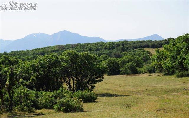 Properties For Sale Listings 18965 Johnson Road