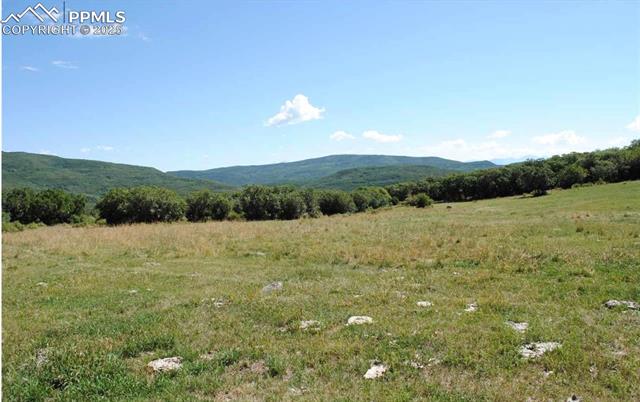 Properties For Sale Listings 18965 Johnson Road