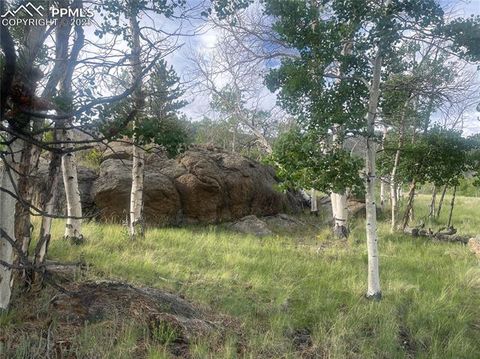 Photo of 170 Emerald Way, Lake George, CO 80827 (MLS # 9201816)