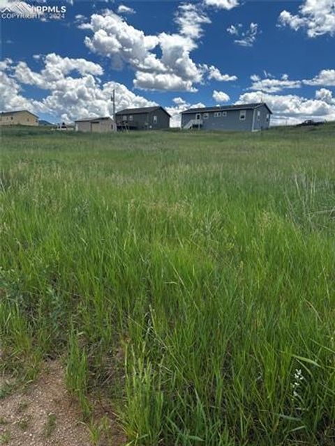 Photo of 1298 Will Scarlet Drive, Divide, CO 80814 (MLS # 2771424)