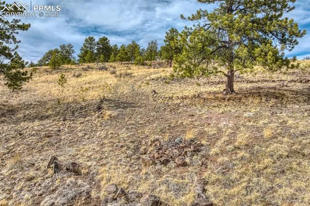 Guffey, Colorado 80820, United States, 3 Bedrooms Bedrooms, ,2 BathroomsBathrooms,Residential,Active,230