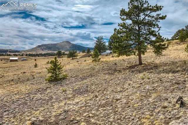 Guffey, Colorado 80820, United States, 3 Bedrooms Bedrooms, ,2 BathroomsBathrooms,Residential,Active,230