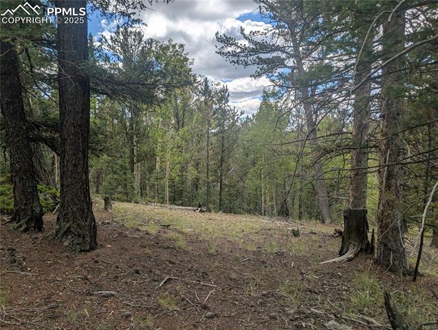 Photo 1 of 31 — 2455 Yorktown Road, Cripple Creek, CO 80813