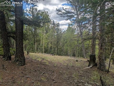 Photo of 2455 Yorktown Road, Cripple Creek, CO 80813 (MLS # 2616053)