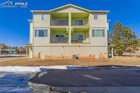 Tiny photo for 560 E Grace Avenue, Woodland Park, CO 80863 (MLS # 6111068)