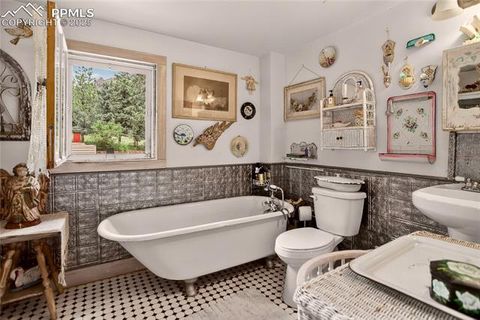 Tiny photo for 5975 Wellington Road, Cascade, CO 80809 (MLS # 1521816)