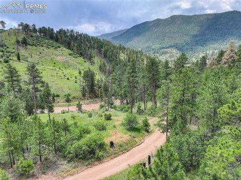 Tiny photo for 5975 Wellington Road, Cascade, CO 80809 (MLS # 1521816)