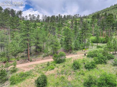 Tiny photo for 5975 Wellington Road, Cascade, CO 80809 (MLS # 1521816)