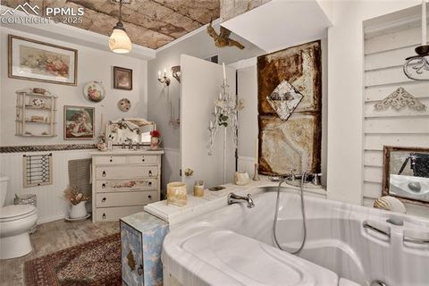 Tiny photo for 5975 Wellington Road, Cascade, CO 80809 (MLS # 1521816)